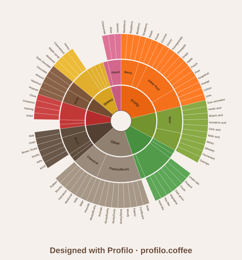 Preview of the free SCA coffee flavor wheel poster — 110 attributes laid out in a 3-ring sunburst